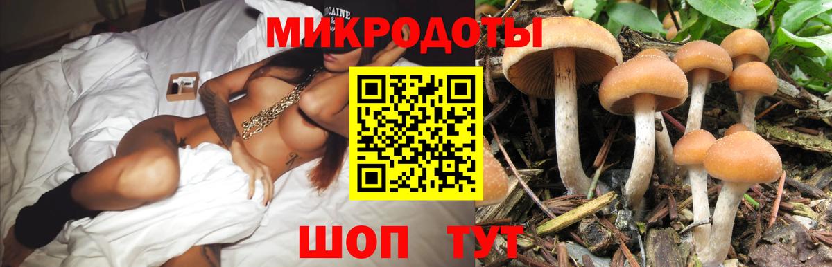 Зеленокумск  Галлюциногенные грибы мухоморы  Вход с VPN  закладка  Псилоцибиновые грибы MAGIC MUSHROOMS 