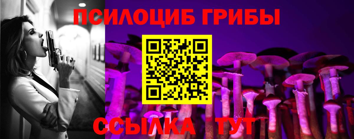 Псилоцибиновые грибы GOLDEN TEACHER Зеленокумск